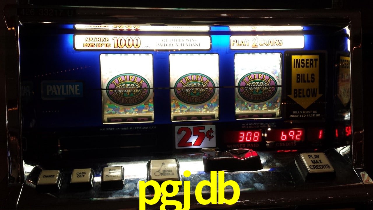 VIP Casino pgjdb